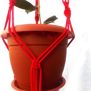May include: Red macrame plant hanger with a terracotta pot and a small green plant.