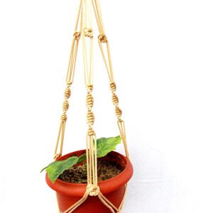 Puede incluir: Un macetero de macramé beige con una maceta de terracota y una pequeña planta verde en su interior.