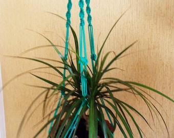 Macrame Plant Holder 28 inches 3mm - Green Strong Hanging Planter - Indoor - Outdoor - macrame wall hanging - planter pattern