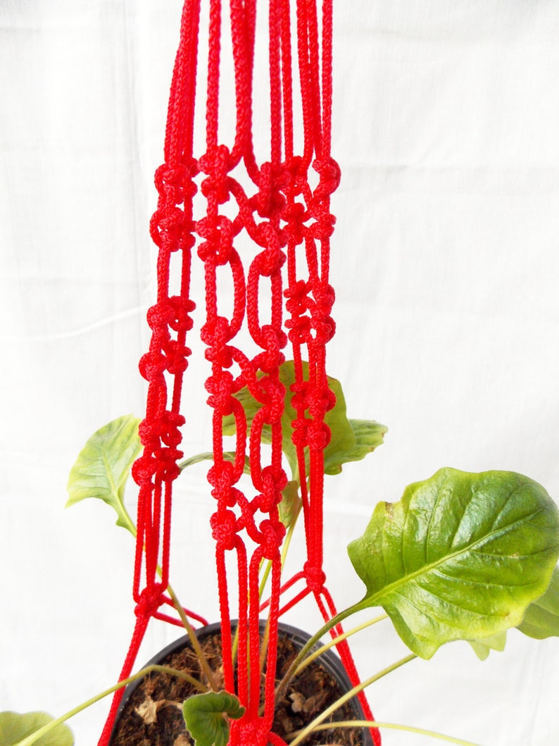 K&ouml;nnte beinhalten: Ein roter Makramee-Pflanzenh&auml;nger mit einer gr&uuml;nen Pflanze in einem schwarzen Topf. Der H&auml;nger ist aus dickem Seil gefertigt und hat ein Knotenmuster.