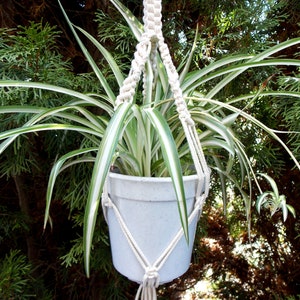 Puede incluir: Un macetero de macramé blanco con una maceta blanca y una planta araña verde colgando.