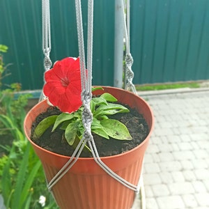 May include: A red flower in a terracotta pot hanging from a gray macrame plant hanger.