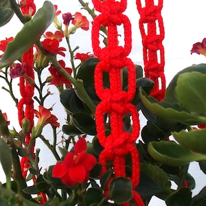 Pode incluir: Cadeias de crochê vermelhas penduradas em uma planta com flores vermelhas. A planta tem folhas verdes e cresce em um fundo branco.