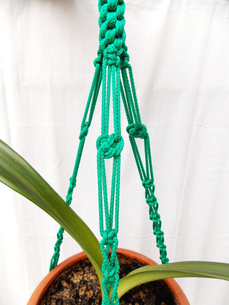 Pode incluir: Um suporte de planta de macram&eacute; verde com um design de n&oacute;. O suporte est&aacute; segurando uma planta em vaso com folhas verdes.
