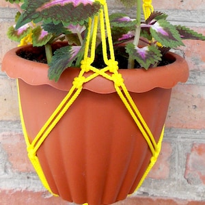 May include: A terracotta pot with a leafy plant hanging from a yellow macrame plant hanger.