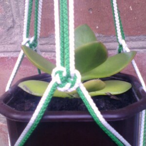 Könnte beinhalten: Ein grüner und weißer Makramee-Pflanzenhänger mit einer kleinen grünen Pflanze in einem braunen Topf.