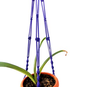 May include: Purple macrame plant hanger with a green plant in a terracotta pot.