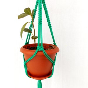 Puede incluir: Un macetero de macramé verde con una maceta de terracota y una pequeña planta en su interior. El macetero tiene largas borlas en la parte inferior.