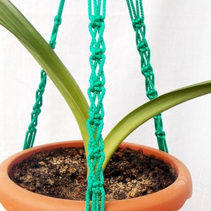 Pode incluir: Um suporte de planta de macram&ecirc; verde com um vaso de terracota e uma planta verde dentro.