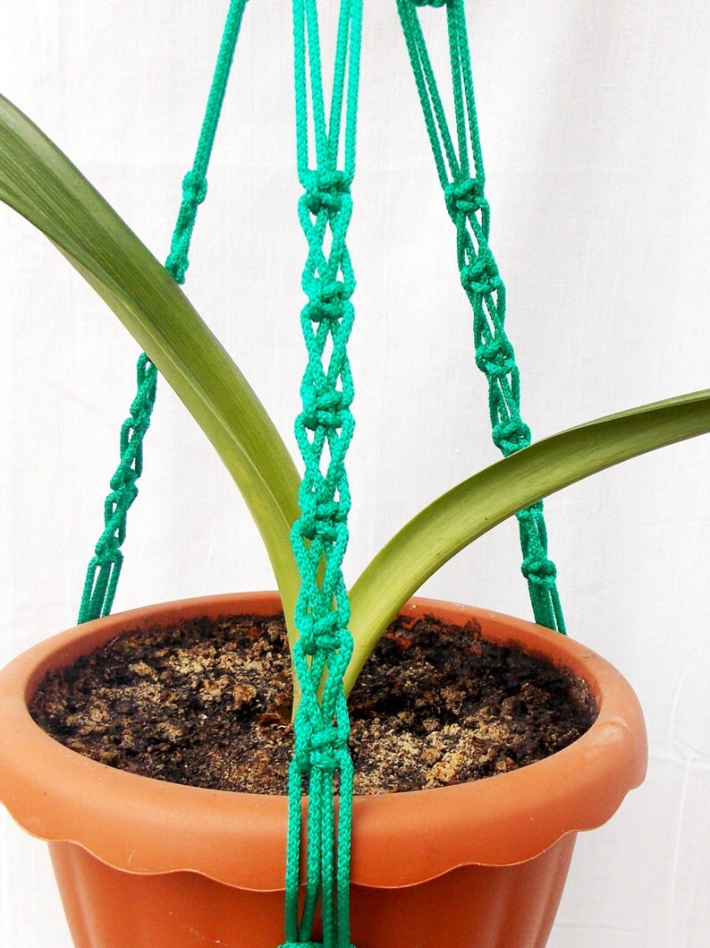 Pode incluir: Um suporte de planta de macram&ecirc; verde com um vaso de terracota e uma planta verde dentro.