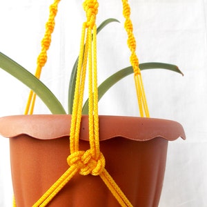 May include: A yellow macrame plant hanger with a terracotta pot and a green plant inside.