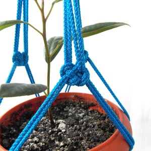 May include: A small plant in a terracotta pot is suspended by a blue macrame plant hanger. The plant has green leaves and a brown stem.
