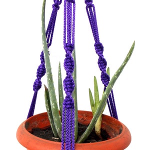 Puede incluir: Un macetero de macramé morado con una maceta de terracota y una planta suculenta dentro.