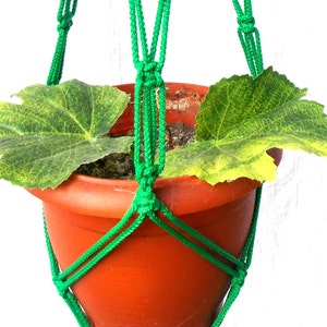 Puede incluir: Un macetero de macramé verde con una maceta de terracota y hojas verdes. El macetero está hecho de cuerda gruesa y tiene un patrón de nudos.