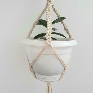 May include: A white macrame plant hanger with a white plastic pot and a small green plant inside.