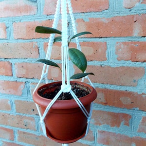 Può includere: Un portavasi in macramé bianco con una piccola pianta in vaso appesa. La pianta è in un vaso marrone e ha foglie verdi. Il portavasi è appeso a un muro di mattoni.
