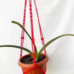 May include: Red macrame plant hanger with a terracotta pot and a green plant hanging from it.