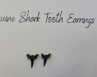 Genuine Shark Tooth Stud Earrings – Hand-Crafted Ocean Jewelry
