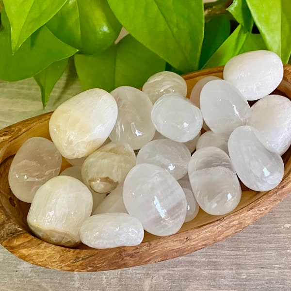 White Aragonite Tumbled Stone | Crystal Natural Gemstone | Mexico