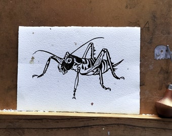 Wētā - an original  hand carved block print of the weta, a nz insect, on handmade, recycled paper with gold flecks.