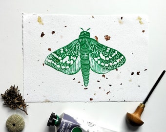 Puriri Moth - an original  hand carved block print of the puriri moth, a nz insect, on handmade, recycled paper with flecks of gold