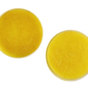 Silicone Greasing Pad for Lubricating Sealing Gaskets Tool
