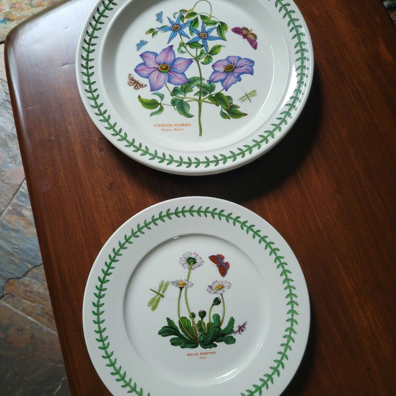 Botanical Plates - Etsy