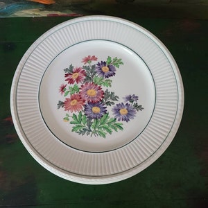 Wedgwood Garden Club dinner plates, EDME, Pyrethrums or Chrysanthemums, Made in England, set of six dinner plates