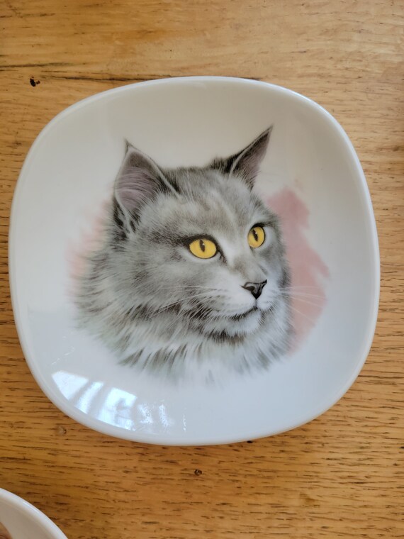 Vintage Schumann Arzberg Bavaria Germany cat face dis… Gem