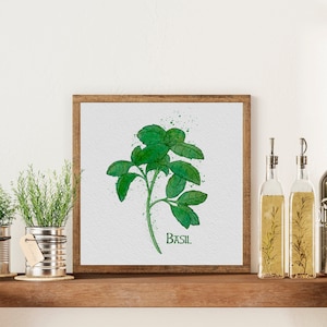 Watercolor Culinary Herbs: Basil Printable