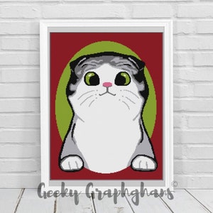 May include: A white and gray cat with large green eyes is sitting in a green circle on a red background. The cat is looking up with a surprised expression.