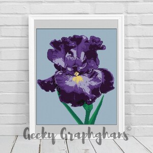 Iris Virkade Grafiska Mönster