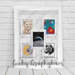 May include: A white frame containing five distinct rectangular images: a brown kitten sketch, a vibrant floral pattern, a central lunar landscape with Earth rising, a yellow sunflower with colourful paw prints, and a black and white tiger head illustration.