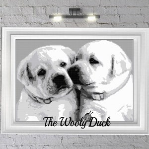 Puede incluir: Foto en blanco y negro de dos cachorros de Labrador Retriever blancos acurrucados. Los cachorros miran a la cámara. La foto está enmarcada y tiene el texto "The Wooly Duck" en la parte inferior.