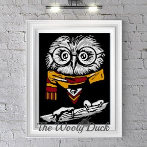 May include: A grey owl wearing a red and gold scarf and glasses is reading a book. The owl is sitting on a black background with the text "The Woolly Duck" at the bottom.