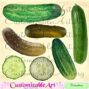 Concombre Clipart Digital concombre Clip Art Pickle tranche toute pièce à l'aneth condiments marinés concombre Clipart nourriture légumes Image graphique