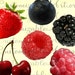 see more listings in the Fruits, Veggies Clipart section