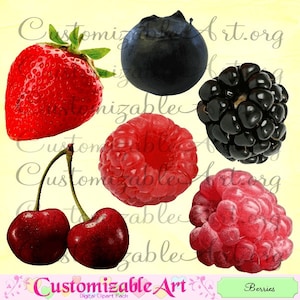 Berry Clipart Digital Berries Strawberry Blueberry Raspberry Cherries Cherry Blackberry Clip Art Images Fresh Fruits Printable Graphics