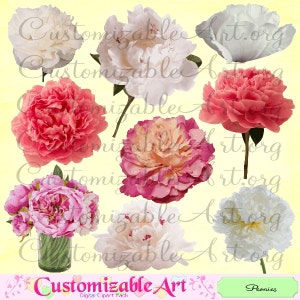 Peonía flor de peonía Clipart Digital Clip Art blanco rosa peonías naranja Coral imprimibles boda flor imágenes florales peonía flor Clipart PNG