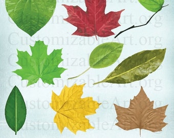 leaf clipart digital leaves clip art grape leaf silver maple etsy