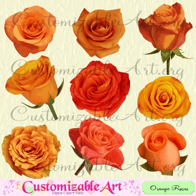 Orange Rose Clipart Digital Orange Roses Clip Art Images Light Dark Shades Cute Orange Flower Clipart Single Deep Orange Rose Flower Graphic image 1