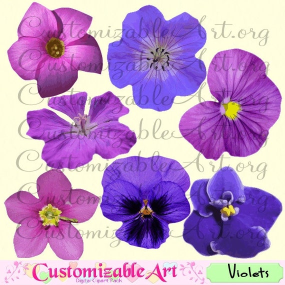 Violeta Clipart Digital flor violeta Clip arte azul púrpura - Etsy España