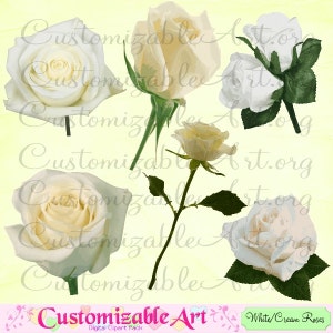 White Rose Clipart Digital White Roses Clip Art Bridal Flower Clipart White Rose Stem Leaves Leaf Single Ivory Rose Clipart Images Graphics