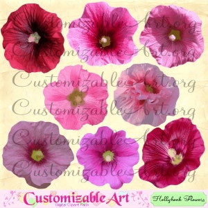 Hollyhock Clipart Digital Hollyhock Flower Clip Art Hot Light Pink Red Purple Hollyhock Flower Alcea Clipart Single Flower Images Graphics