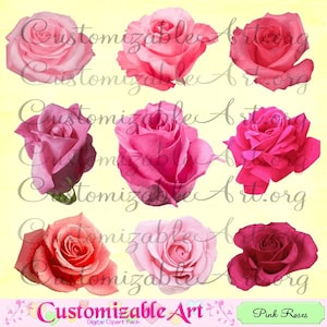 Pink Rose Clipart Digital Pink Roses Clipart Printable Flower Clipart Image Graphic Light Dark Hot Blooming Realistic Single Rose Clipart