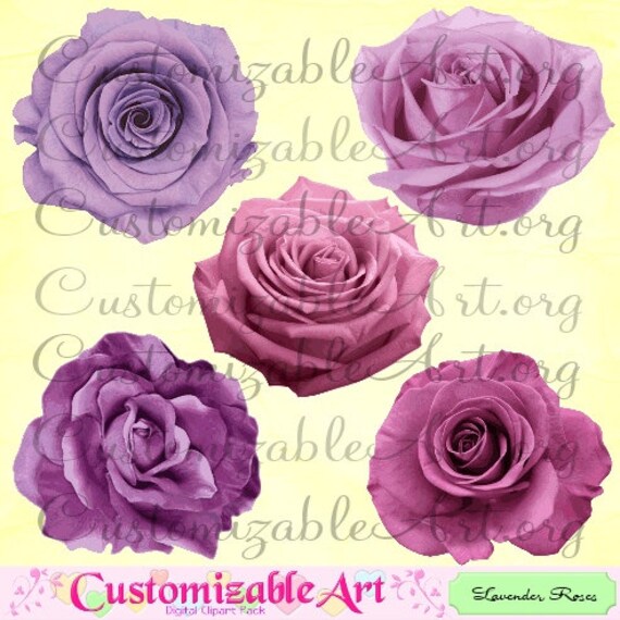 Clipart Digital Rose Rosen Clip Art Lavendel Lila Rose Pale Etsy