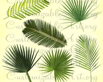 Palm Tree Leaves Clipart Digital Palm Tree Leaf Clip Art Green Fan Palm Leaves Nature Palm Tree Leaves Cliart Scrapbook Images Graphics