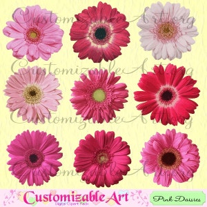 Pink Daisy Clipart Digital Pink Daisies Clip Art Pink Flower Hot Bright Light Pinky Clipart Red Pink Cream White Printable Images Graphics