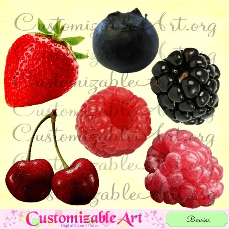 Berry Clipart Digital Berries Strawberry Blueberry Raspberry Cherries Cherry Blackberry Clip Art Images Fresh Fruits Printable Graphics image 1