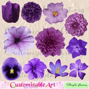 Purple Flower Clipart Digital Flower Clip Art African Violet Carnation Crocus Hibiscus Pansies Petunia Tulip Clipart Floral Images Graphics